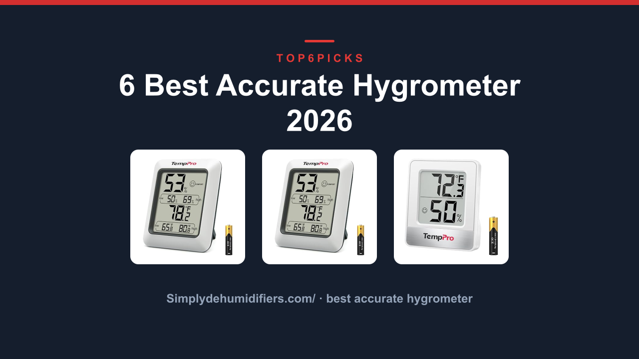 6 Best Accurate Hygrometer 2026