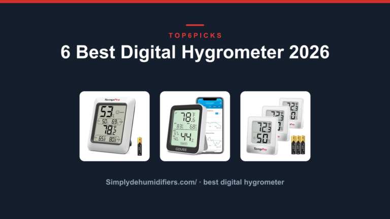 6 Best Digital Hygrometer 2026