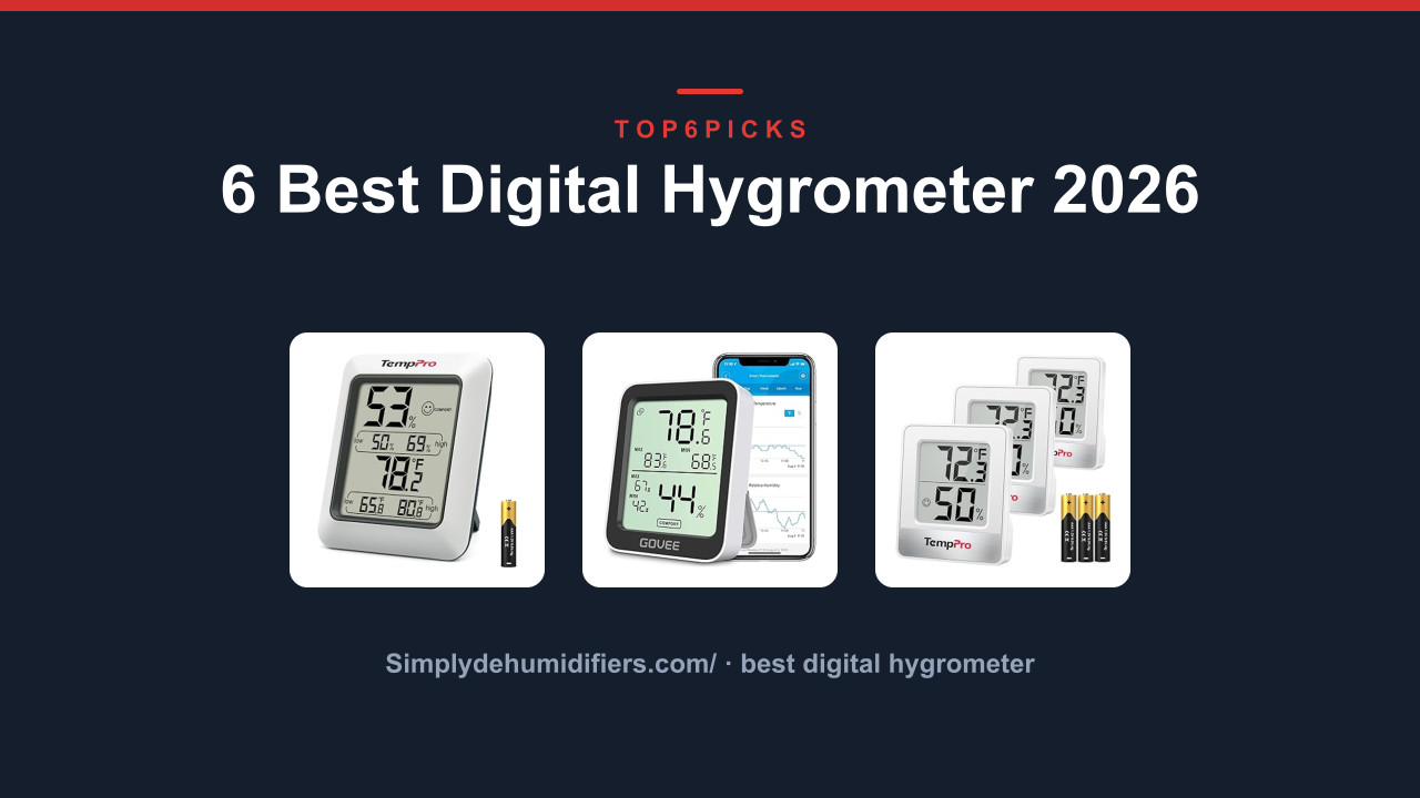 6 Best Digital Hygrometer 2026