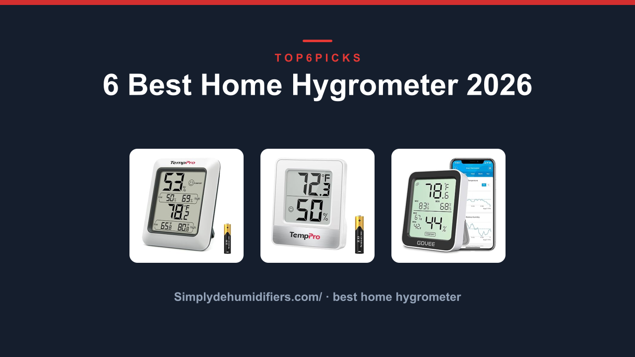 6 Best Home Hygrometer 2026