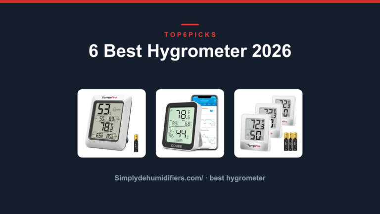 6 Best Hygrometer 2026