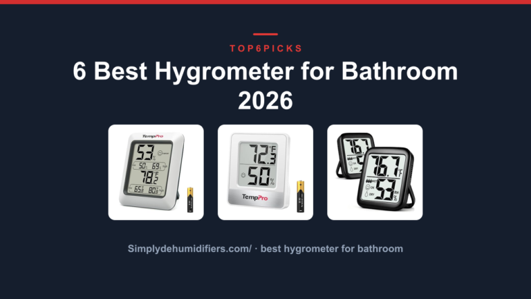 6 Best Hygrometer for Bathroom 2026