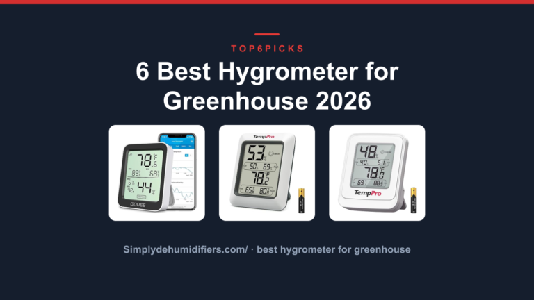 6 Best Hygrometer for Greenhouse 2026