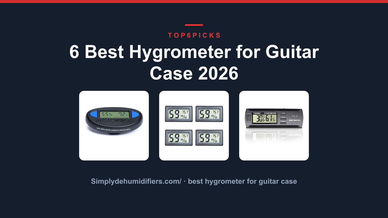6 Best Hygrometer for Guitar Case 2026