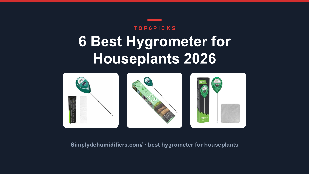 6 Best Hygrometer for Houseplants 2026