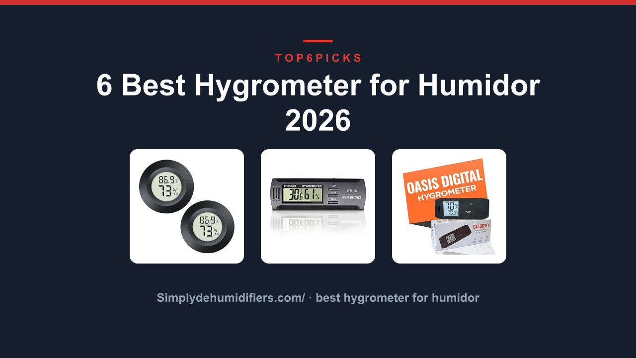 6 Best Hygrometer for Humidor 2026