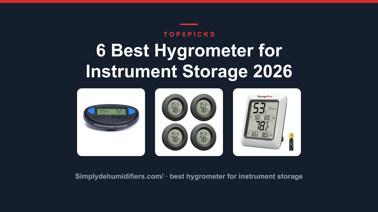 6 Best Hygrometer for Instrument Storage 2026