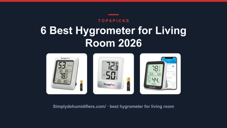 6 Best Hygrometer for Living Room 2026