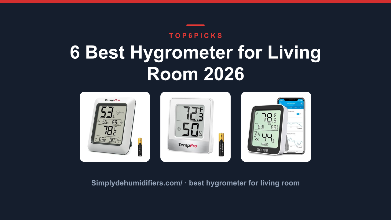 6 Best Hygrometer for Living Room 2026