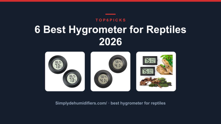 6 Best Hygrometer for Reptiles 2026