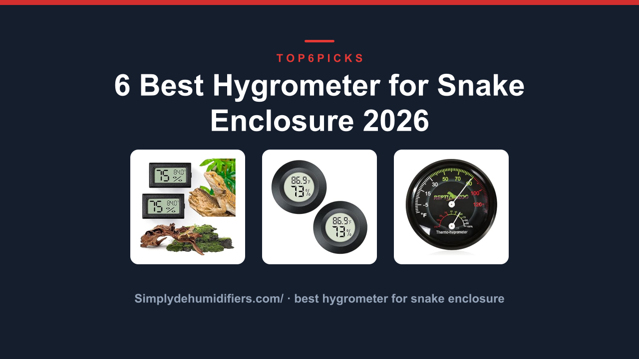6 Best Hygrometer for Snake Enclosure 2026