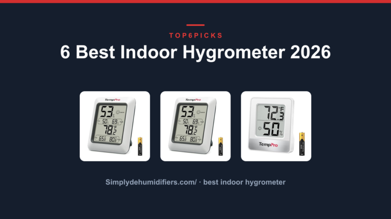 6 Best Indoor Hygrometer 2026