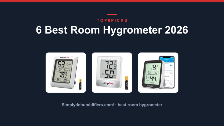 6 Best Room Hygrometer 2026