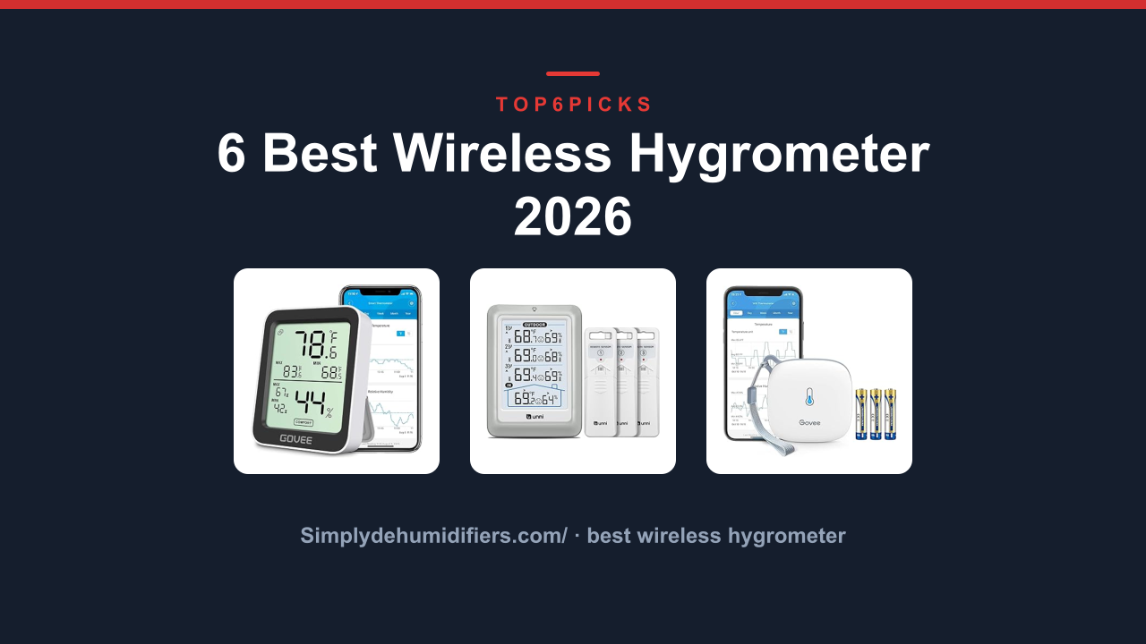 6 Best Wireless Hygrometer 2026