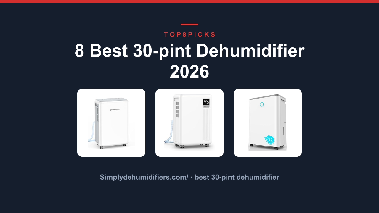 8 Best 30-pint Dehumidifier 2026