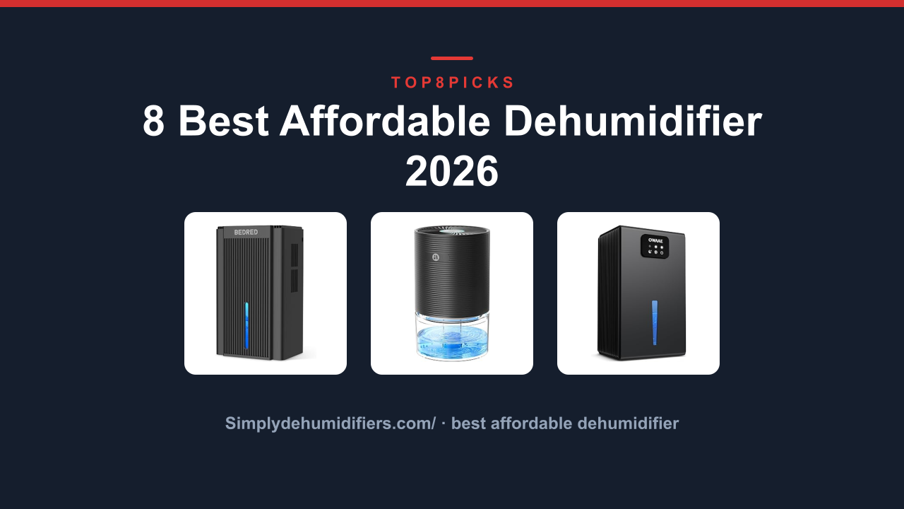 8 Best Affordable Dehumidifier 2026