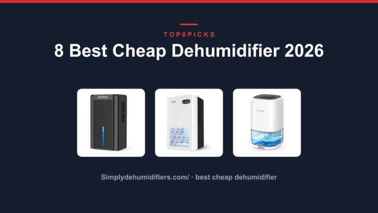 8 Best Cheap Dehumidifier 2026
