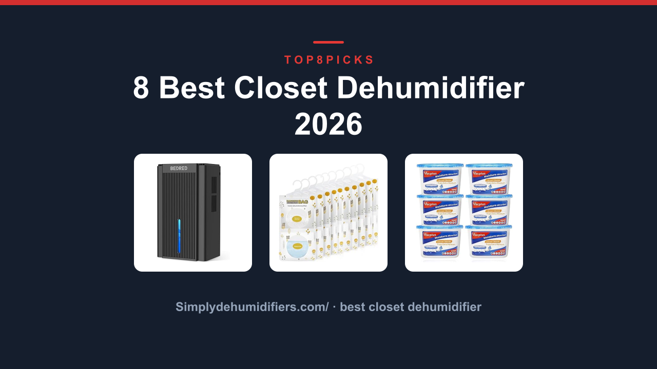 8 Best Closet Dehumidifier 2026