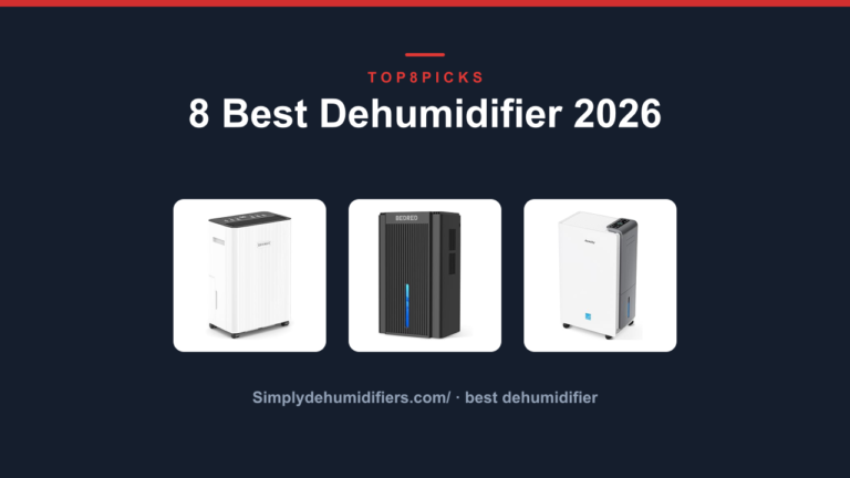 8 Best Dehumidifier 2026