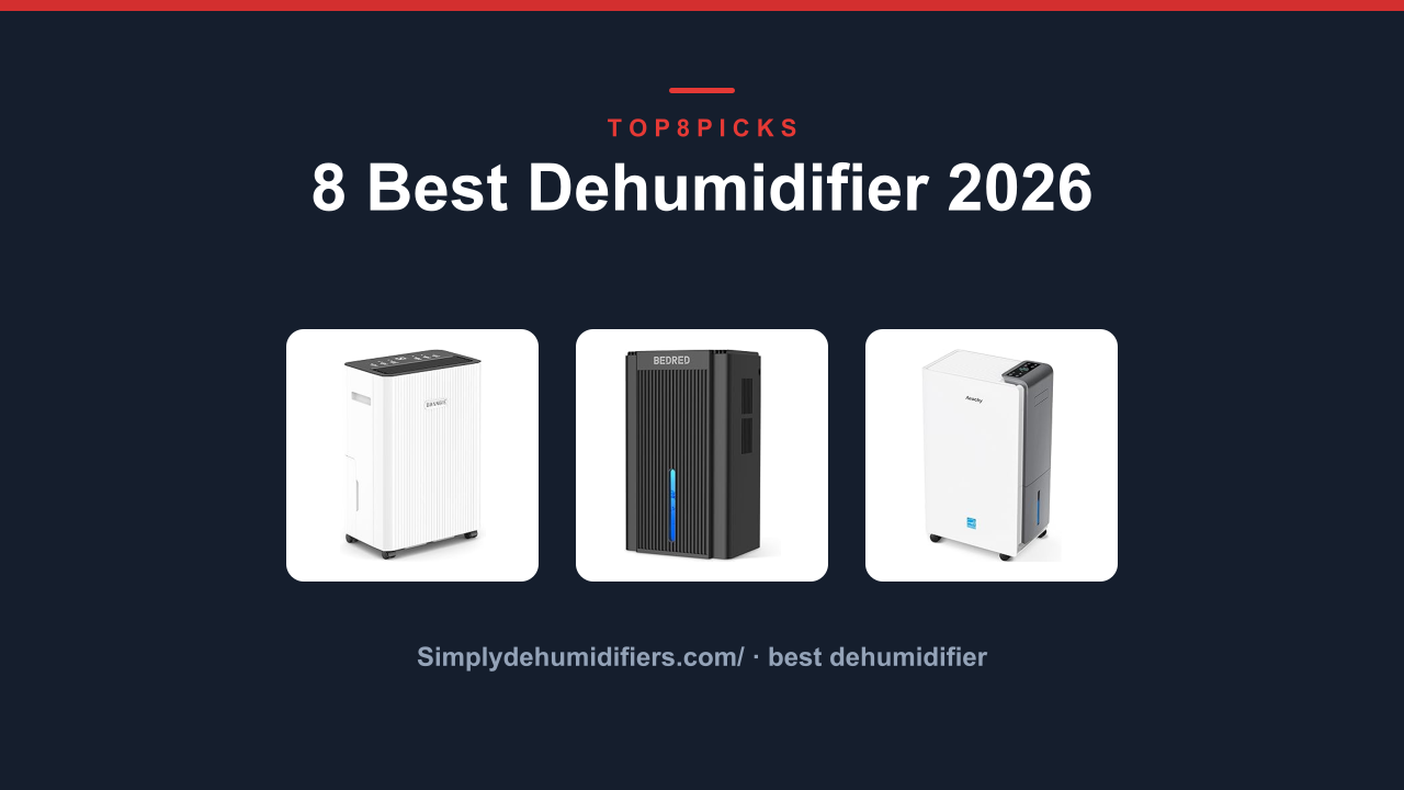 8 Best Dehumidifier 2026