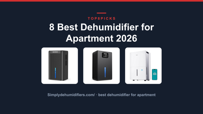 8 Best Dehumidifier for Apartment 2026