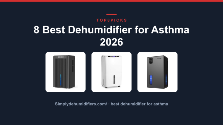 8 Best Dehumidifier for Asthma 2026