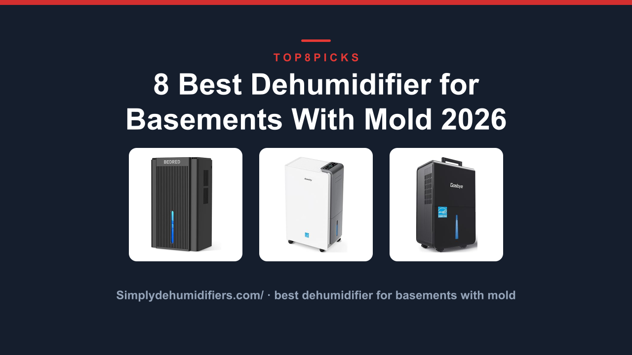 8 Best Dehumidifier for Basements With Mold 2026