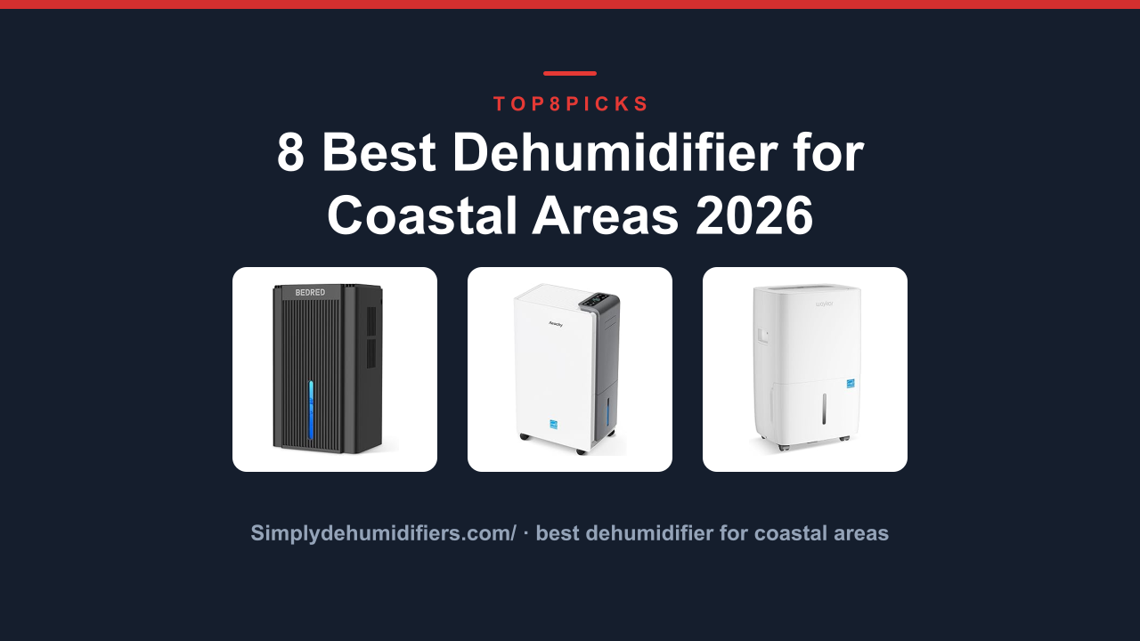 8 Best Dehumidifier for Coastal Areas 2026