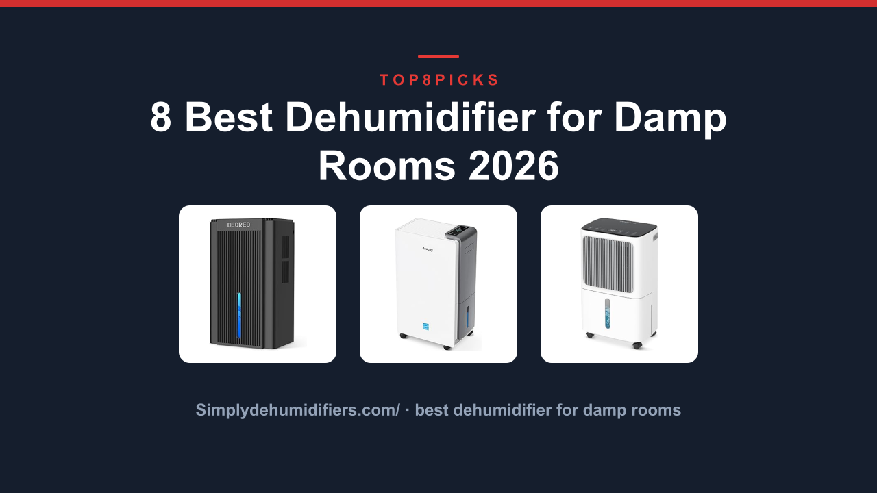 8 Best Dehumidifier for Damp Rooms 2026