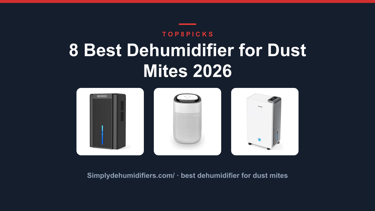 8 Best Dehumidifier for Dust Mites 2026