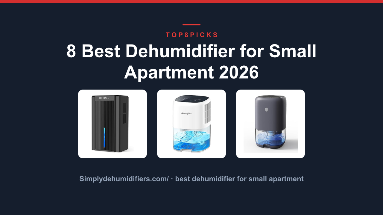 8 Best Dehumidifier for Small Apartment 2026