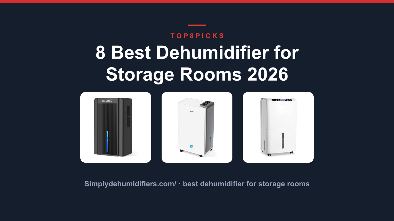 8 Best Dehumidifier for Storage Rooms 2026