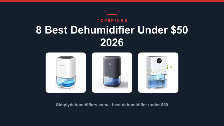 8 Best Dehumidifier Under $50 2026