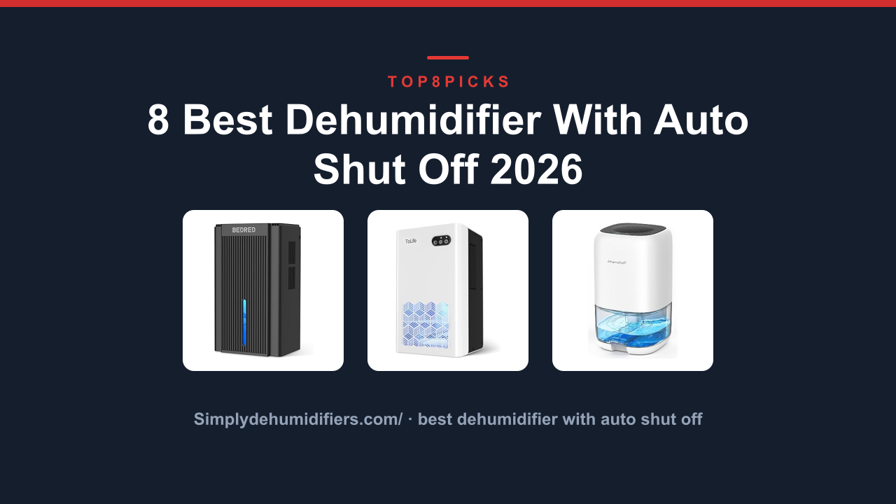 8 Best Dehumidifier With Auto Shut Off 2026