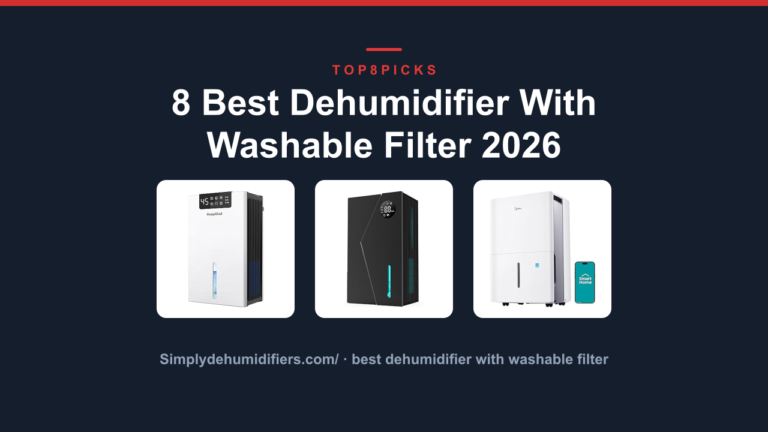 8 Best Dehumidifier With Washable Filter 2026
