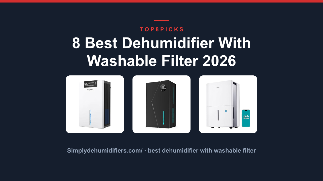 8 Best Dehumidifier With Washable Filter 2026