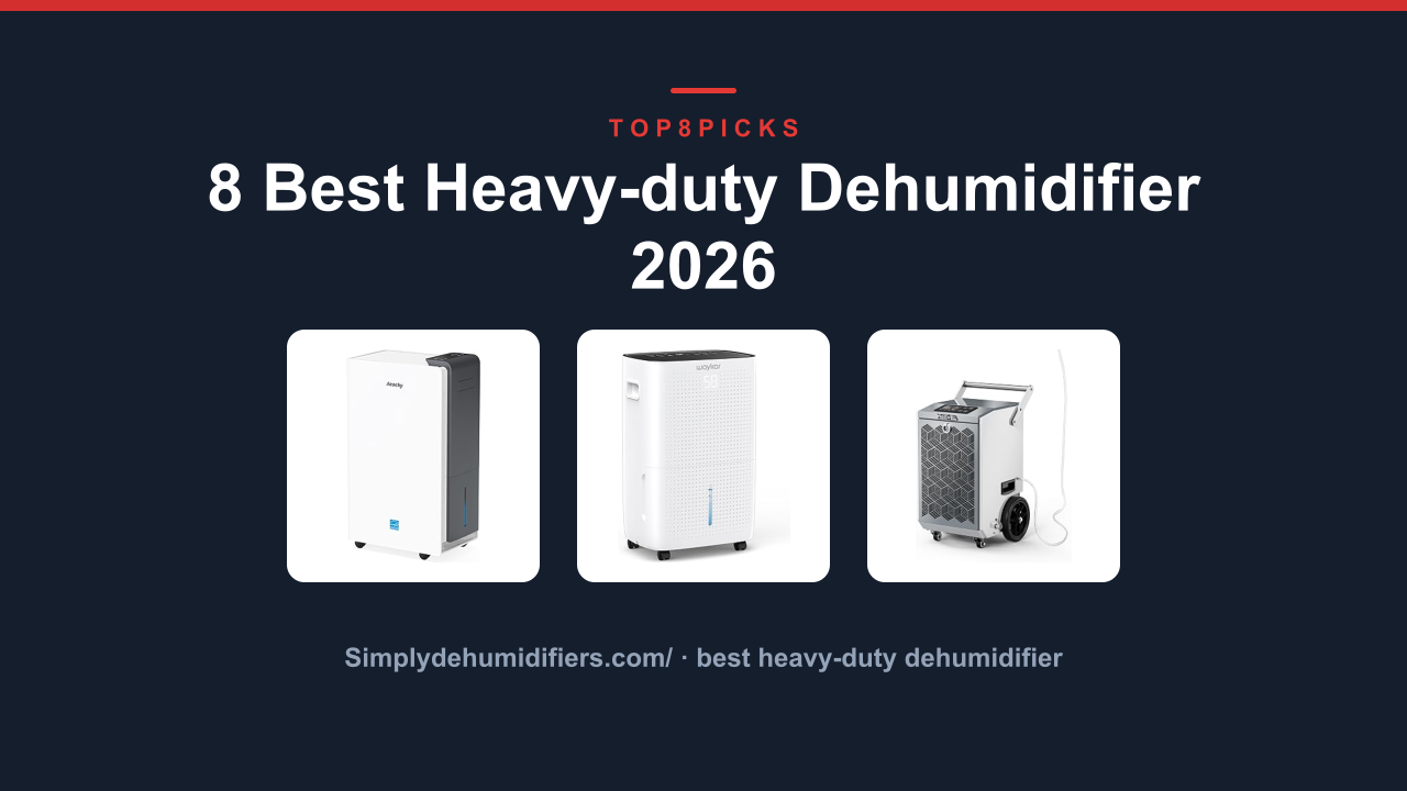 8 Best Heavy-duty Dehumidifier 2026