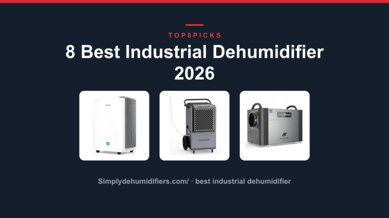 8 Best Industrial Dehumidifier 2026