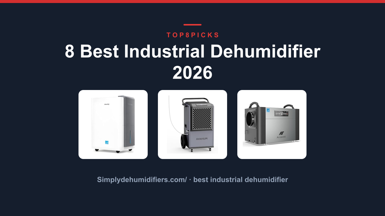 8 Best Industrial Dehumidifier 2026