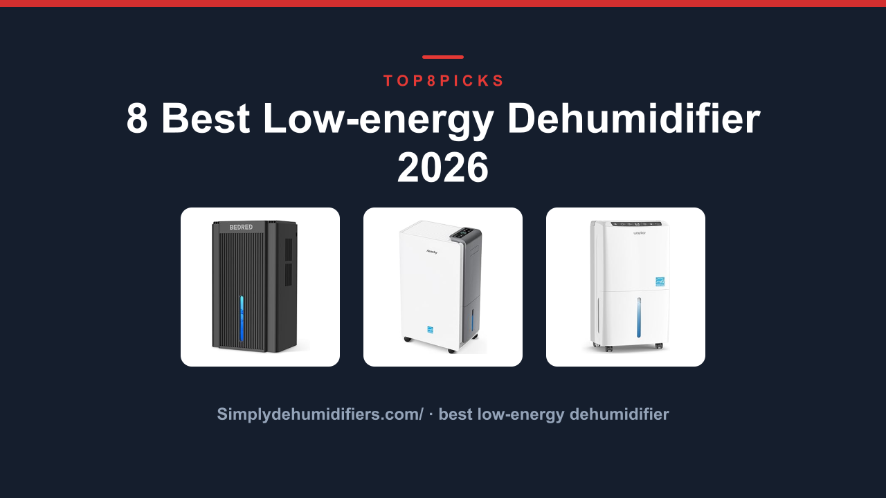 8 Best Low-energy Dehumidifier 2026