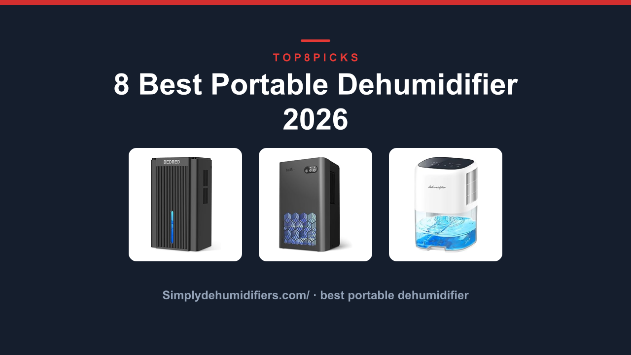 8 Best Portable Dehumidifier 2026