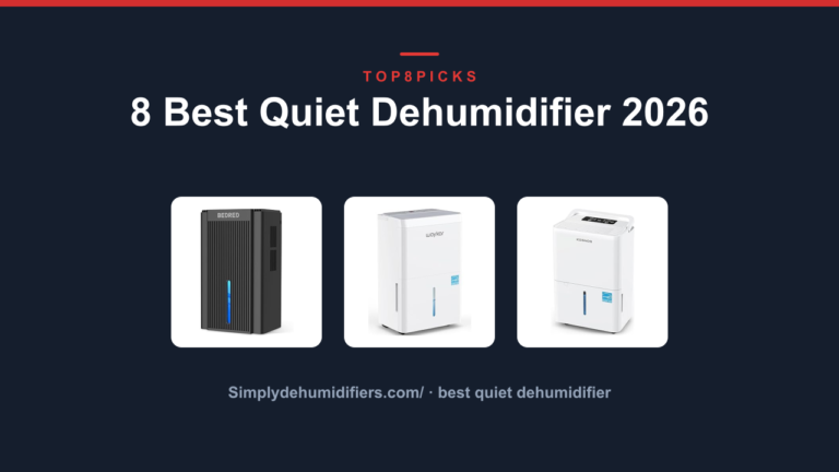 8 Best Quiet Dehumidifier 2026