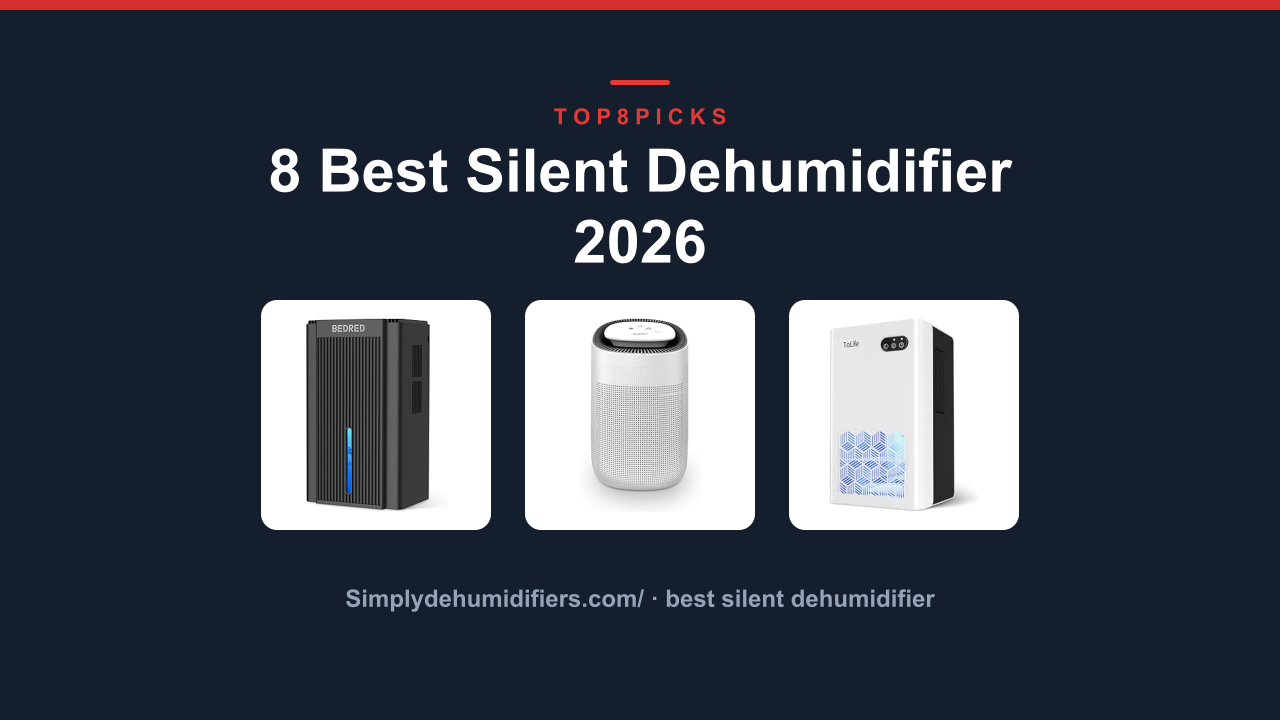 8 Best Silent Dehumidifier 2026