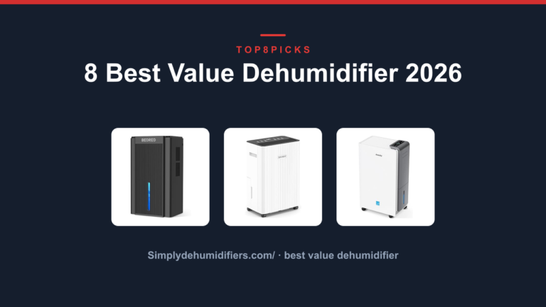 8 Best Value Dehumidifier 2026