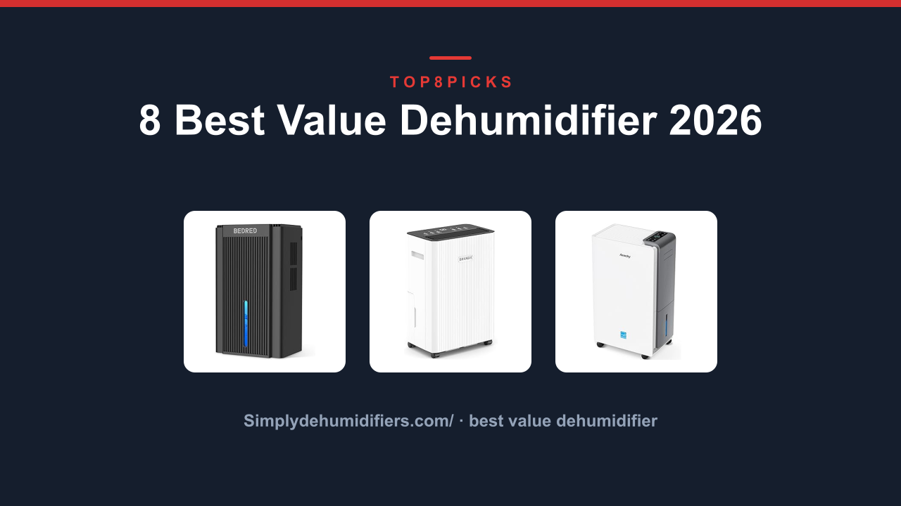 8 Best Value Dehumidifier 2026