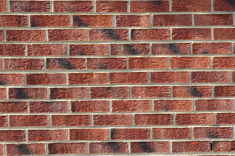 air dampness vs structural dampness