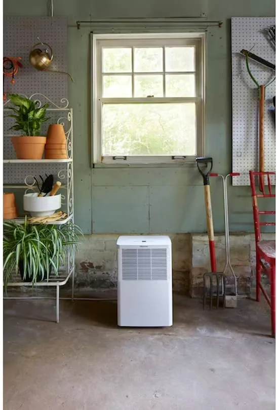 Basement dehumidifier