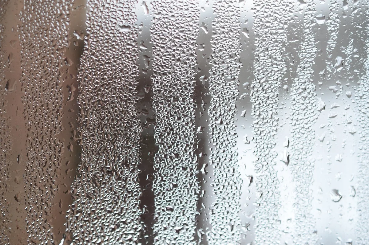 bathroom moisture source
