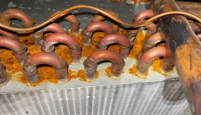 biofilm on dehumidifier coils