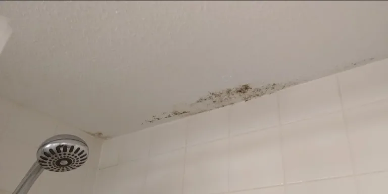 black mold buildup
